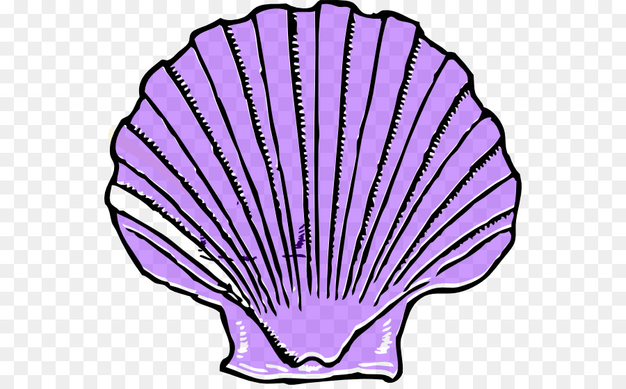 Clam Seashell Clip art - Shell png download - 600*554 - Free Transparent Clam png Download.