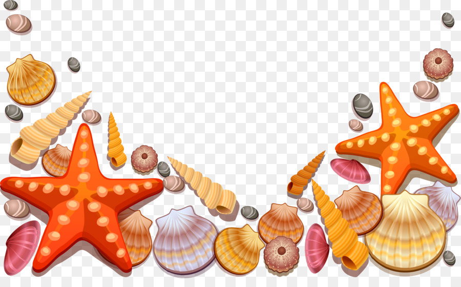 Portable Network Graphics Clip art Vector graphics Seashell Illustration - seashell clipart png sea png download - 4135*2494 - Free Transparent Seashell png Download.