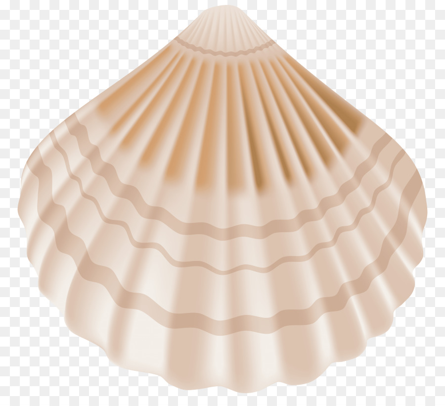 Seashell Clip art Portable Network Graphics Image Transparency - seashell png download - 850*804 - Free Transparent Seashell png Download.