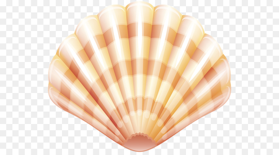 Clam Shellfish Seashell Clip art - clam png download - 600*494 - Free Transparent Clam png Download.