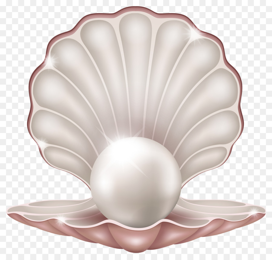 Clam Pearl Seashell Clip art - Pearl Shell Cliparts png download - 5270*4989 - Free Transparent Clam png Download.