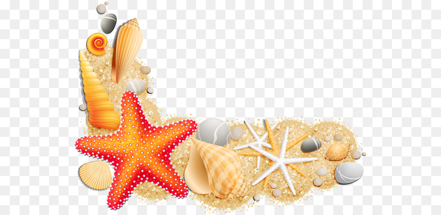 Seashell Clip art - seashell png download - 600*438 - Free Transparent Seashell png Download.