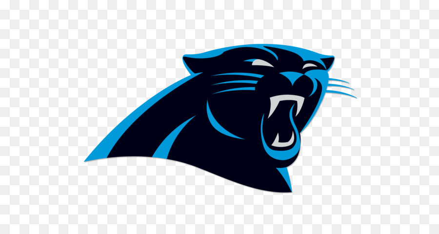 Carolina Panthers NFL Seattle Seahawks Bank of America Stadium New Orleans Saints - NFL png download - 640*480 - Free Transparent Carolina Panthers png Download.