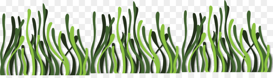 Seaweed Euclidean vector Deep sea - Vector deep seaweed png download - 1501*418 - Free Transparent Seaweed png Download.