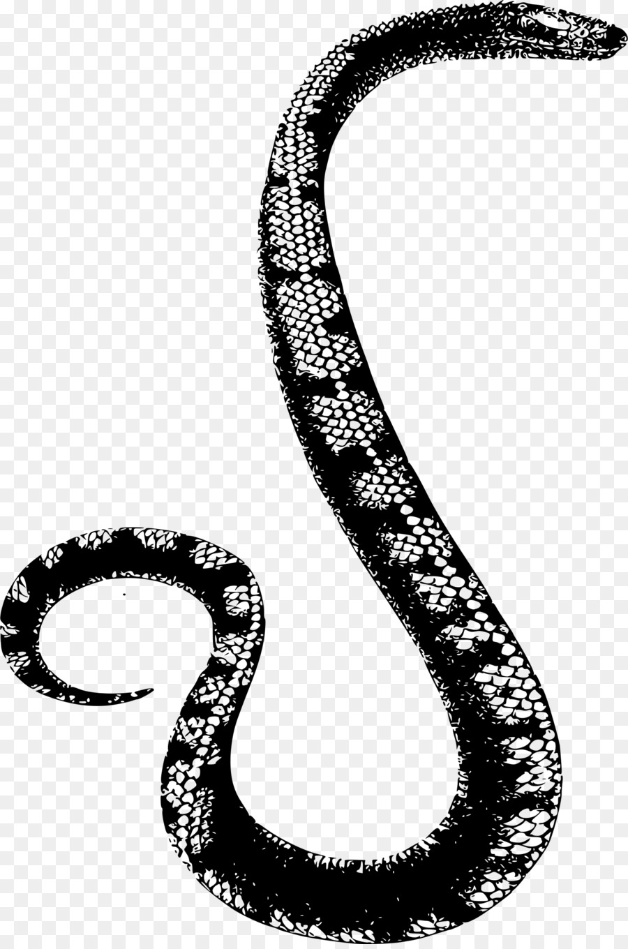 Snakes Clip art Reptile Vipers Boa constrictor - simple snake png download - 1596*2400 - Free Transparent Snakes png Download.