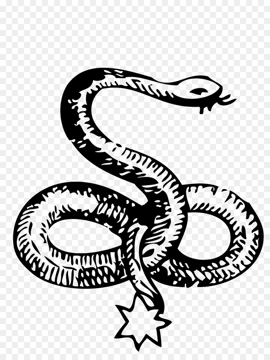 Snake Symbol Serpent Paganism Celtic knot - serpent png download - 1254*1662 - Free Transparent Snake png Download.