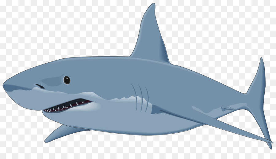 Great white shark Isurus oxyrinchus Clip art - Scuba png download - 3500*1949 - Free Transparent Shark png Download.