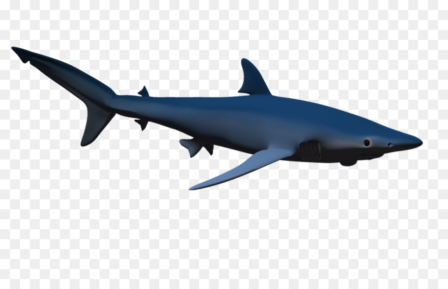 Hammerhead shark Clip art - Hammerhead Shark Clipart png download - 1024*639 - Free Transparent Shark png Download.