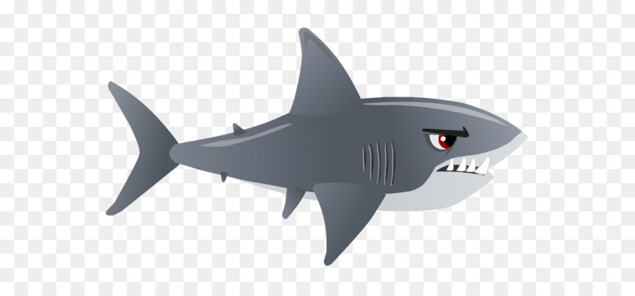 Shark Clip art - Shark Png Clipart png download - 989*637 - Free Transparent Shark png Download.