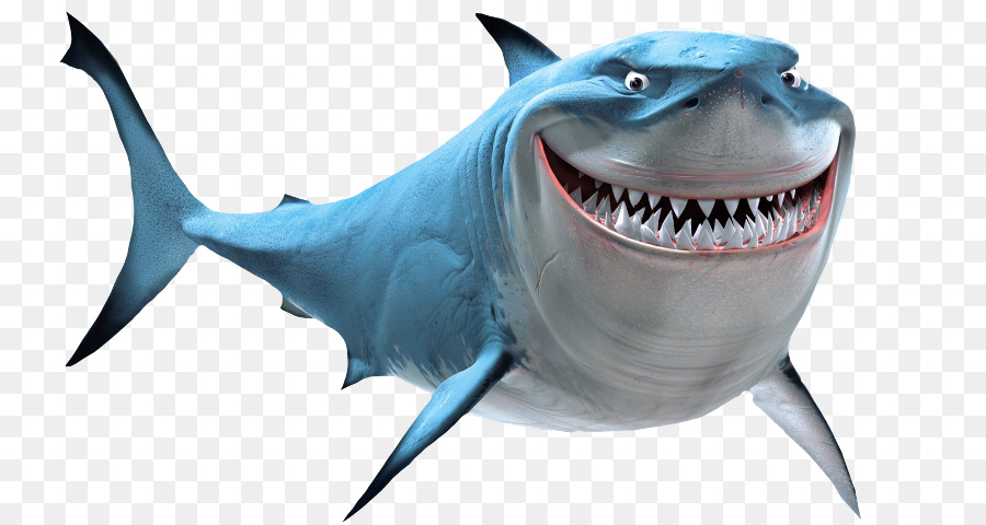 Bruce Great white shark Marlin - shark png download - 853*480 - Free Transparent Bruce png Download.