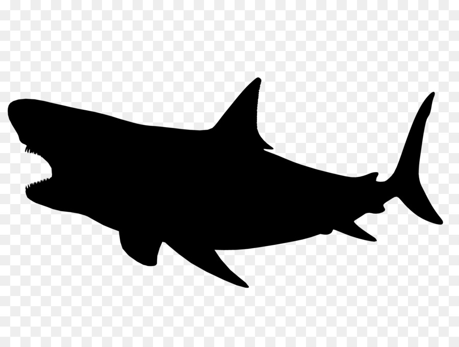 Shark Clip art Fauna Silhouette Mammal -  png download - 2500*1875 - Free Transparent Shark png Download.