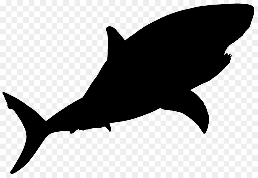 Shark Clip art Fauna Silhouette Marine mammal -  png download - 1440*988 - Free Transparent Shark png Download.