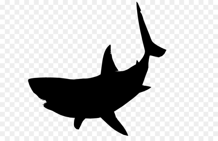 Shark Silhouette Clip Art Shark Png Download 1075 430 Free 