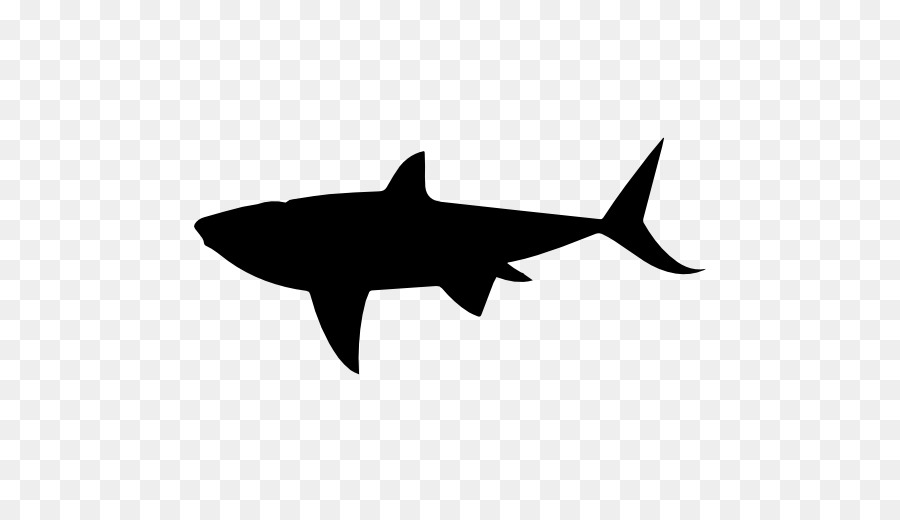 Shark Computer Icons - sharks png download - 512*512 - Free Transparent Shark png Download.
