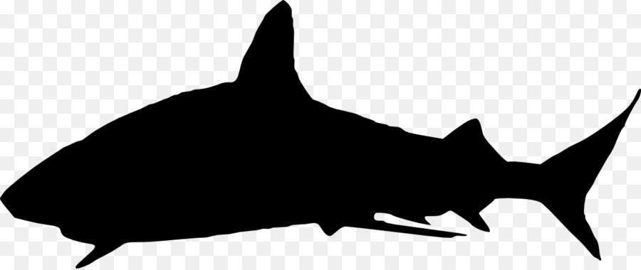 Shark Clip art - shark png download - 1125*472 - Free Transparent Shark png Download.