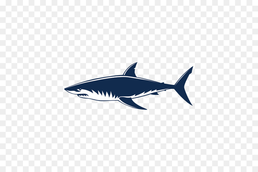 Requiem sharks Great white shark Shark Jaws - shark vector free download png download - 600*600 - Free Transparent Requiem Sharks png Download.