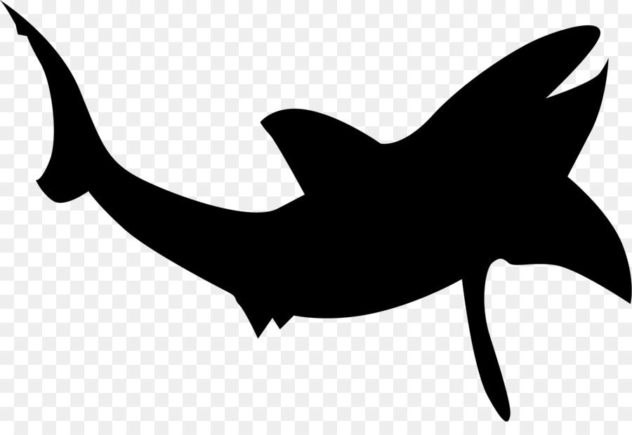 Shark Silhouette Clip art - The beluga whale png download - 1701*1135 - Free Transparent Shark png Download.