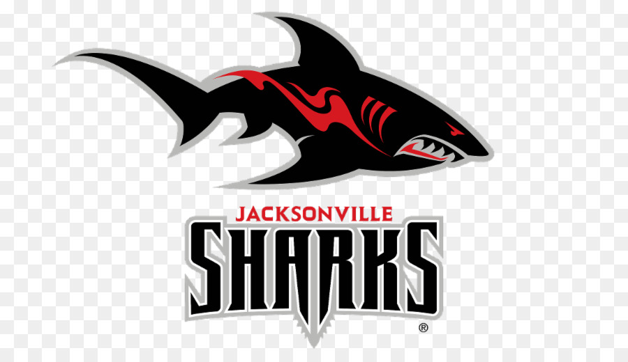 Jacksonville Sharks Logo American football Great white shark - shark png download - 800*518 - Free Transparent Jacksonville Sharks png Download.