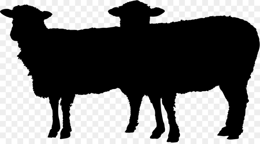 Sheep Cattle Goat Mammal Clip art -  png download - 3000*1651 - Free Transparent Sheep png Download.
