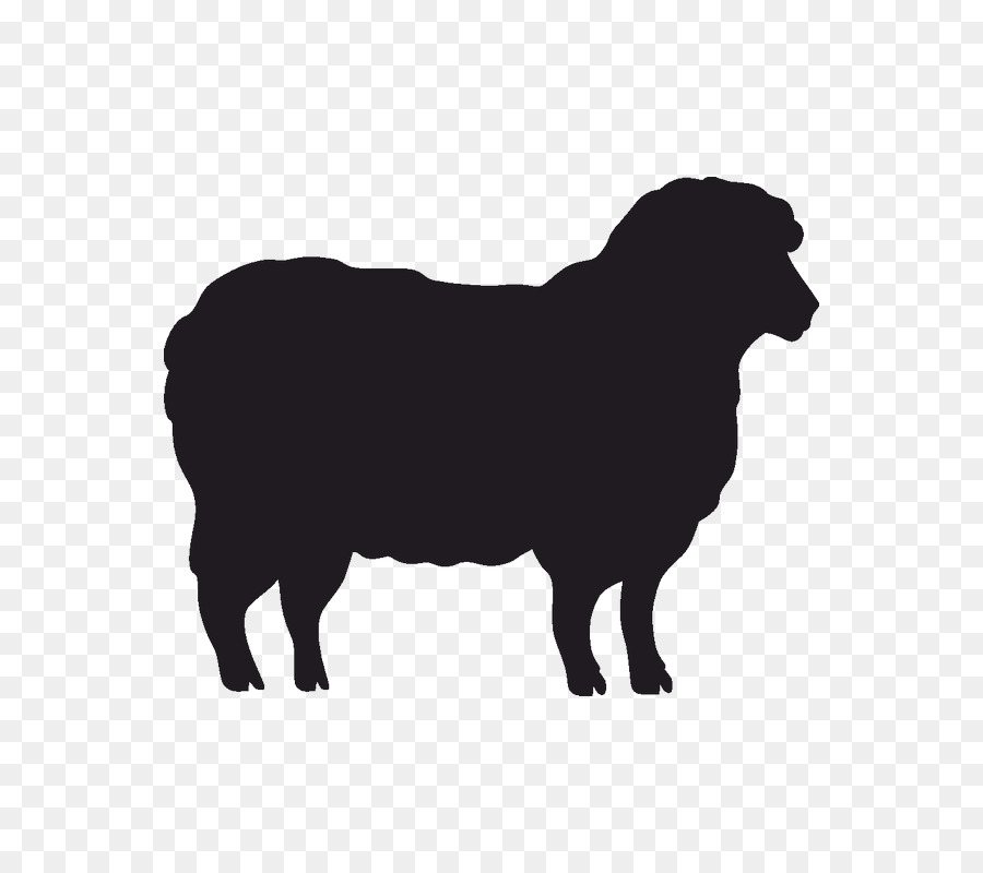 Sheep Stencil Silhouette Goat Cattle - sheep png download - 800*800 - Free Transparent Sheep png Download.