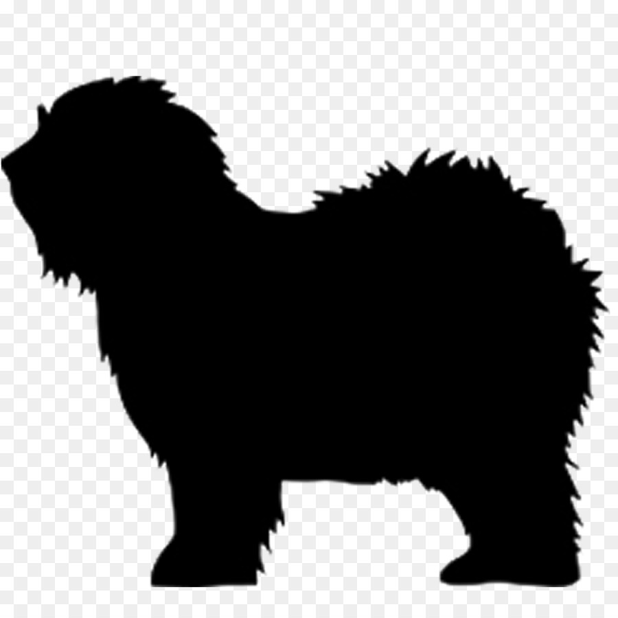 Newfoundland dog Old English Sheepdog Dog breed Shetland Sheepdog Border Collie - puppy png download - 1000*1000 - Free Transparent Newfoundland Dog png Download.