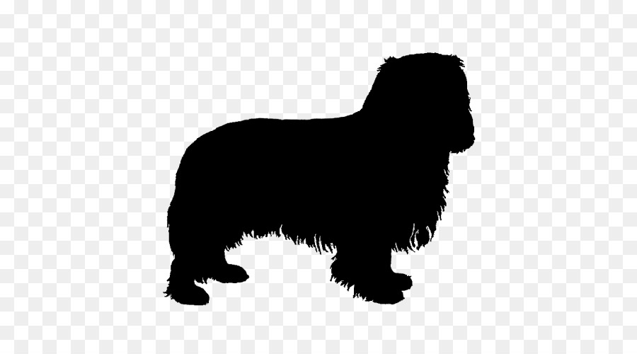 Sheltie Rough Collie Pomeranian Old English Sheepdog Dog breed -  png download - 500*500 - Free Transparent Sheltie png Download.
