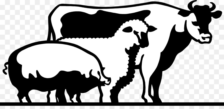 Cattle Domestic pig Livestock show Clip art - cattle png download - 2860*1356 - Free Transparent Cattle png Download.