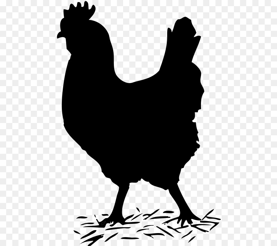 Chicken Clip art Vector graphics Openclipart Portable Network Graphics - chicken silhouette png kifaranga png download - 535*800 - Free Transparent Chicken png Download.