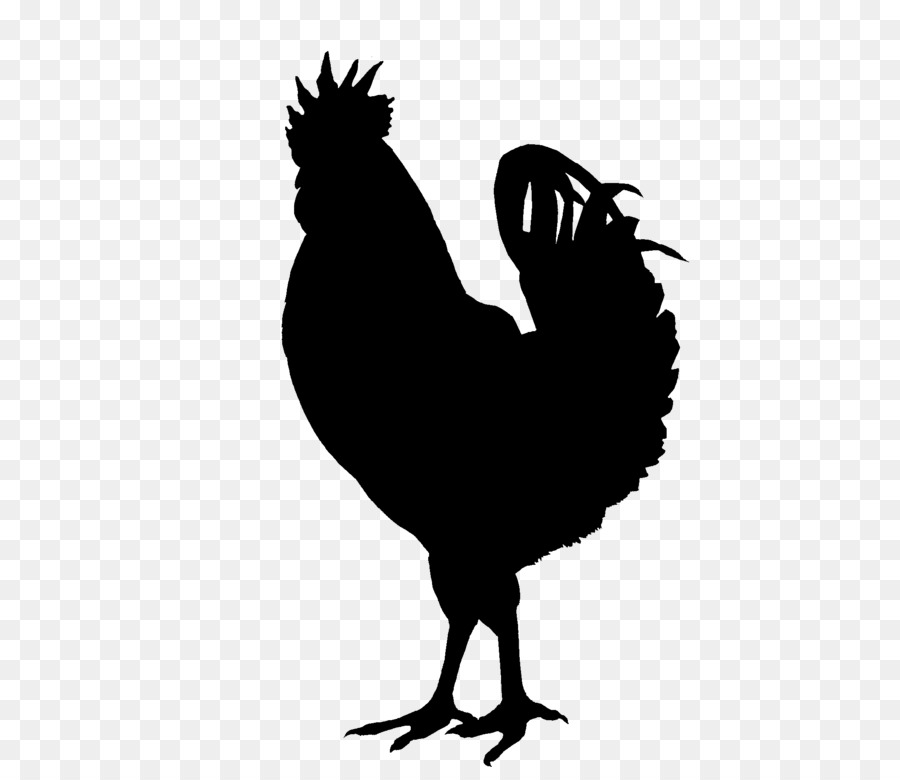 Silkie Rooster Silhouette Clip art - chicken png download - 585*767 - Free Transparent Silkie png Download.
