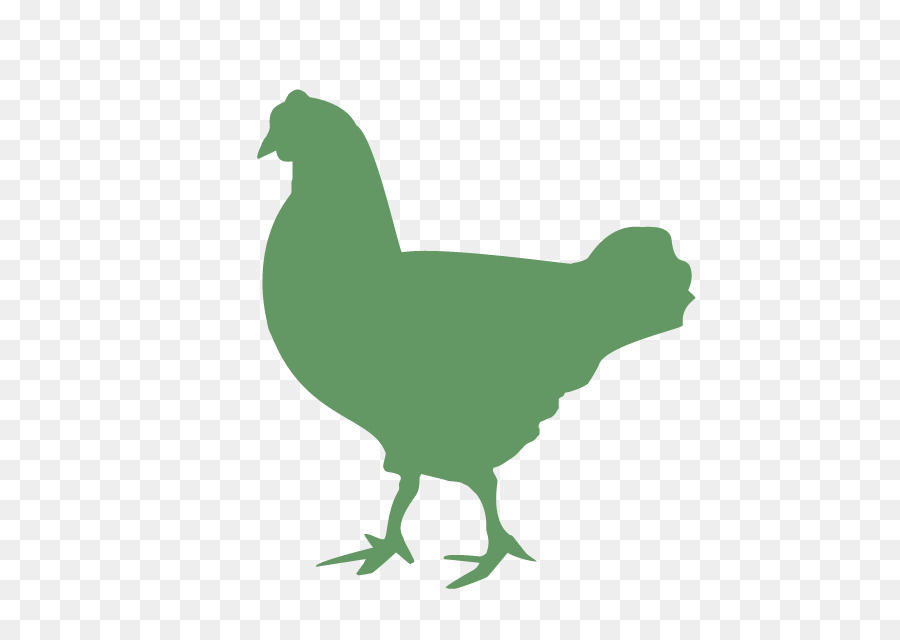 Rooster Chicken Duck Cattle Broiler - chicken png download - 625*625 - Free Transparent Rooster png Download.