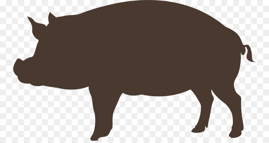 Domestic pig Graphic design - Hand-painted wild boar png download - 812*473 - Free Transparent Domestic Pig png Download.