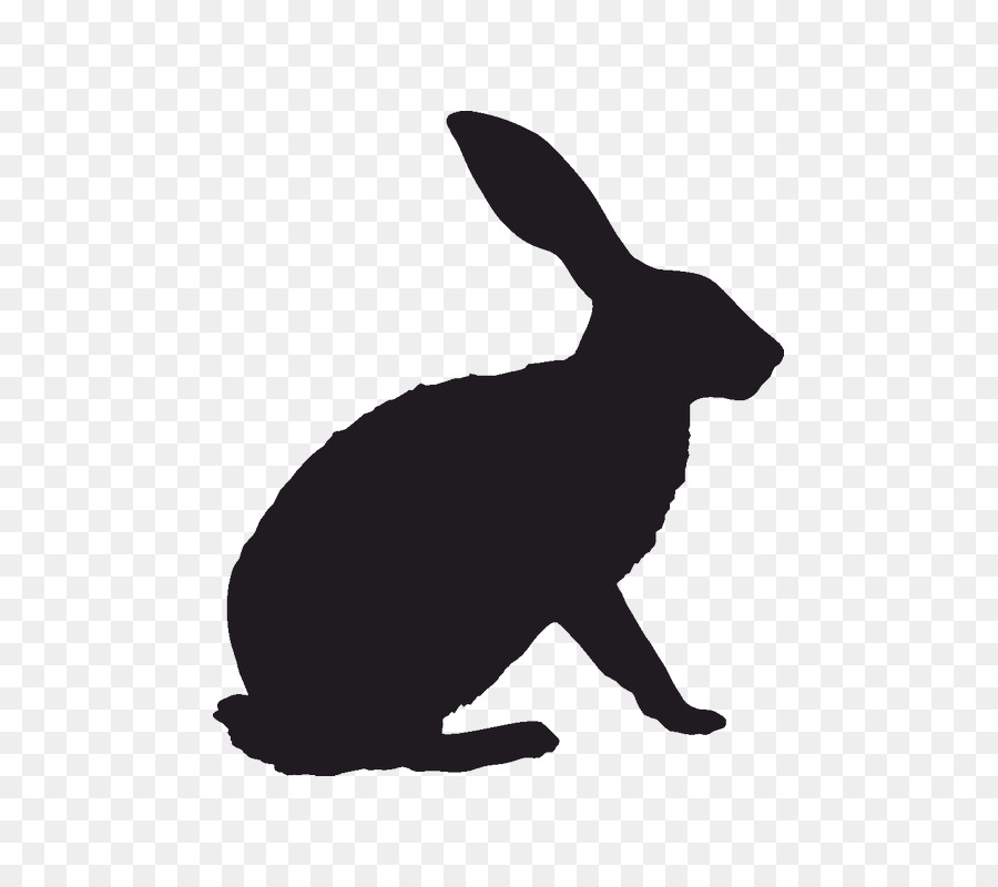 Hare Rabbit Vector graphics Image Silhouette - rabbit png download - 800*800 - Free Transparent Hare png Download.