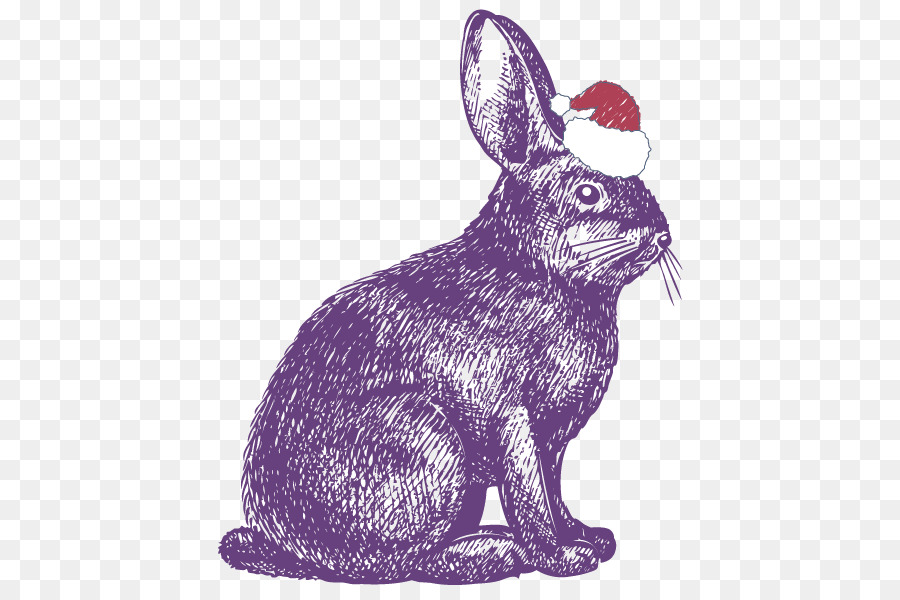 Rabbit show jumping Drawing Illustration - Vector purple rabbit png download - 842*596 - Free Transparent Rabbit png Download.