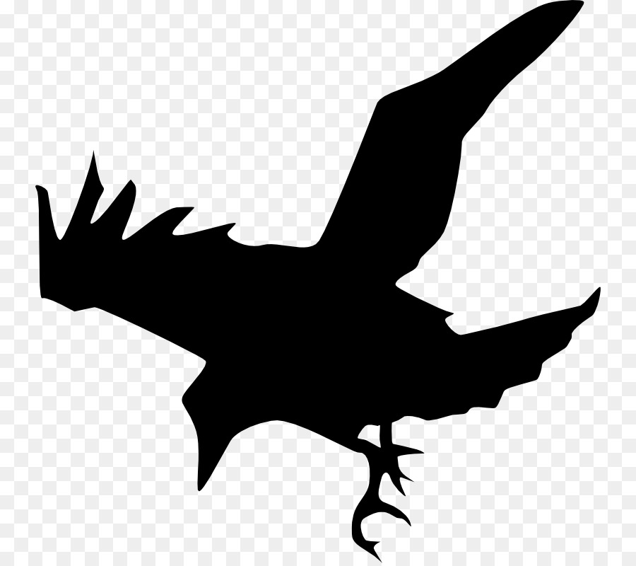 Common raven Silhouette Clip art - Silhouette png download - 800*796 - Free Transparent Common Raven png Download.