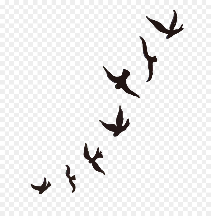 birds flying tattoo template
