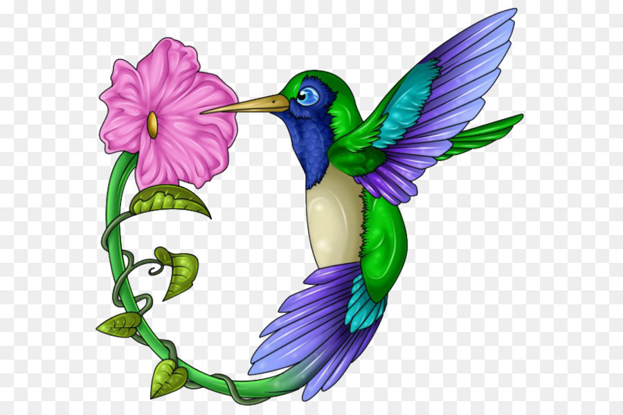 Hummingbird Beak Wing Feather - Hummingbird Tattoos Free Download Png png download - 664*611 - Free Transparent Hummingbird png Download.