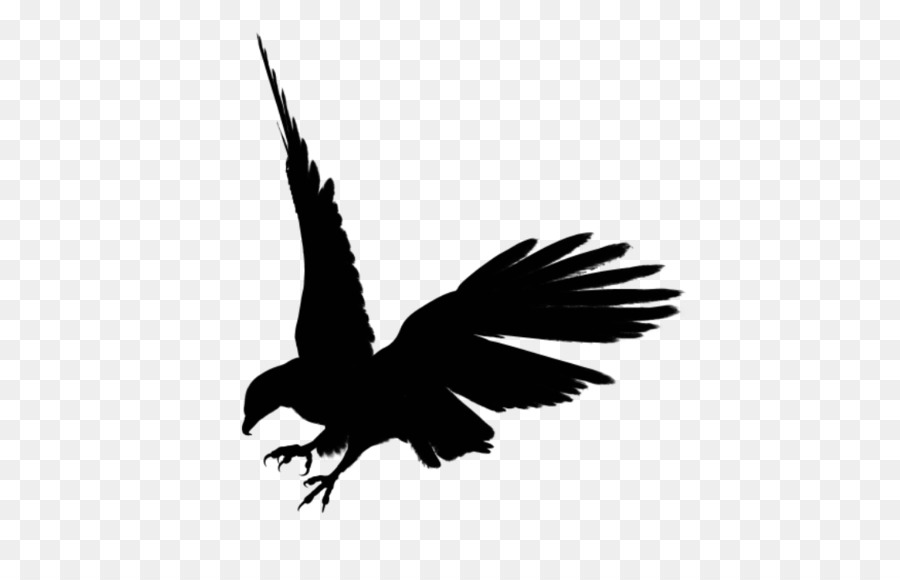 Eagle Silhouette Clip art - Eagle black siluet PNG image, free download png download - 823*732 - Free Transparent Bald Eagle png Download.
