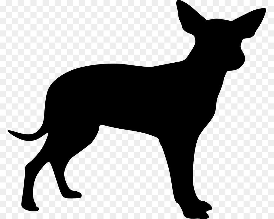 Mexican Hairless Dog Chihuahua Drawing Clip art - dogs vector png download - 849*720 - Free Transparent Mexican Hairless Dog png Download.
