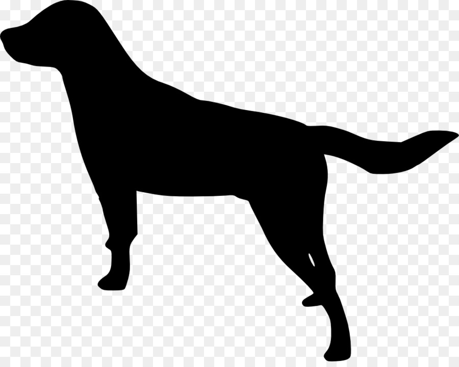 Labrador Retriever Puppy Clip art - dogs png download - 1000*788 - Free Transparent Labrador Retriever png Download.