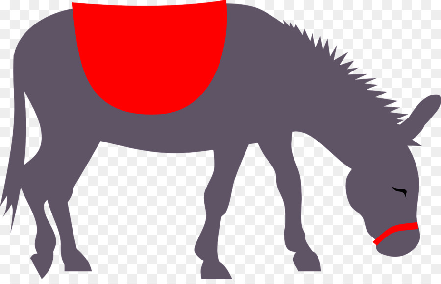 Mule Donkey Clip art - donkey png download - 1280*810 - Free Transparent Mule png Download.
