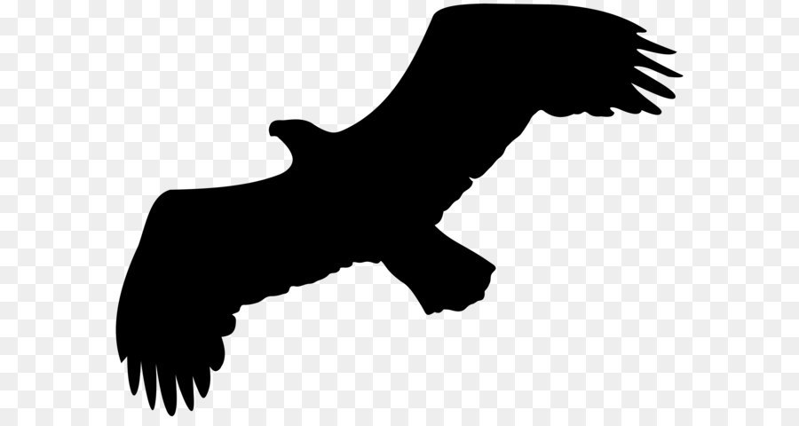 Silhouette Eagle Clip art - Eagle Silhouette PNG Clip Art png download - 8000*5821 - Free Transparent Silhouette png Download.