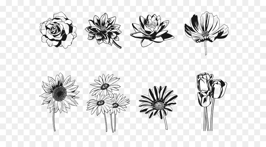 Floral design Silhouette Flower - Flowers Silhouette png download - 700*490 - Free Transparent Floral Design png Download.