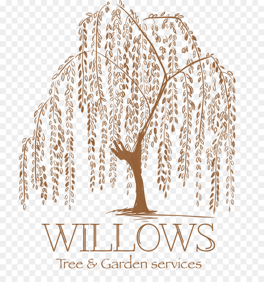 Weeping willow Tattoo artist Tree Drawing - tree png download - 1574*1671 - Free Transparent Weeping Willow png Download.