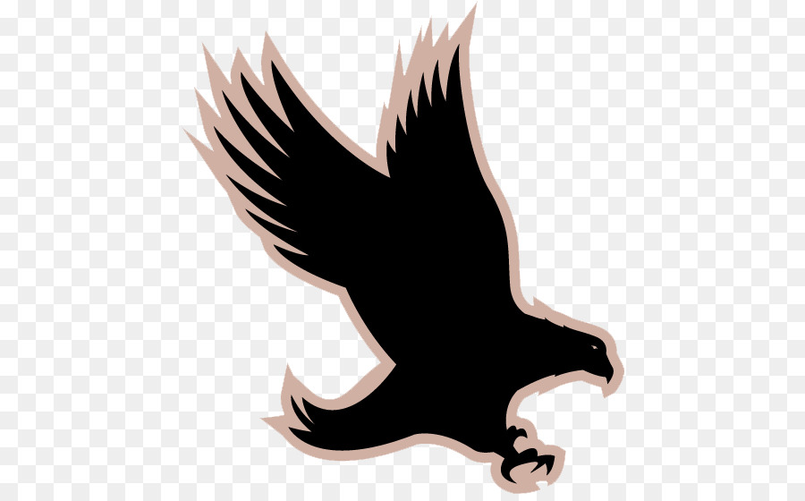 Eagle Hawkeye Jamaica Silhouette Graphics - Security pattern png download - 496*553 - Free Transparent Eagle png Download.