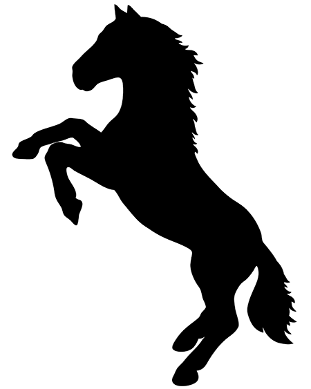 black silhouette horse rearing
