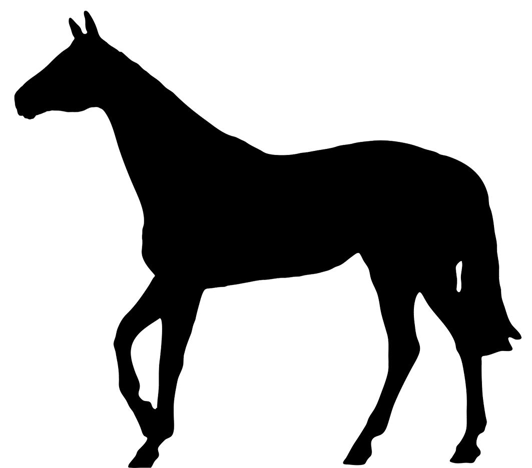 transparent background horse clipart
