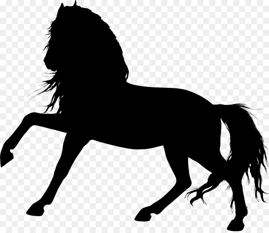 Arabian horse Pony Stallion Foal Colt - horse silhouette png download - 2278*1960 - Free Transparent Arabian Horse png Download.