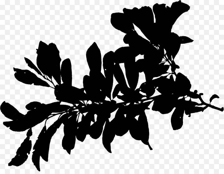 Plant stem Silhouette Leaf Font Black -  png download - 4219*3236 - Free Transparent Plant Stem png Download.