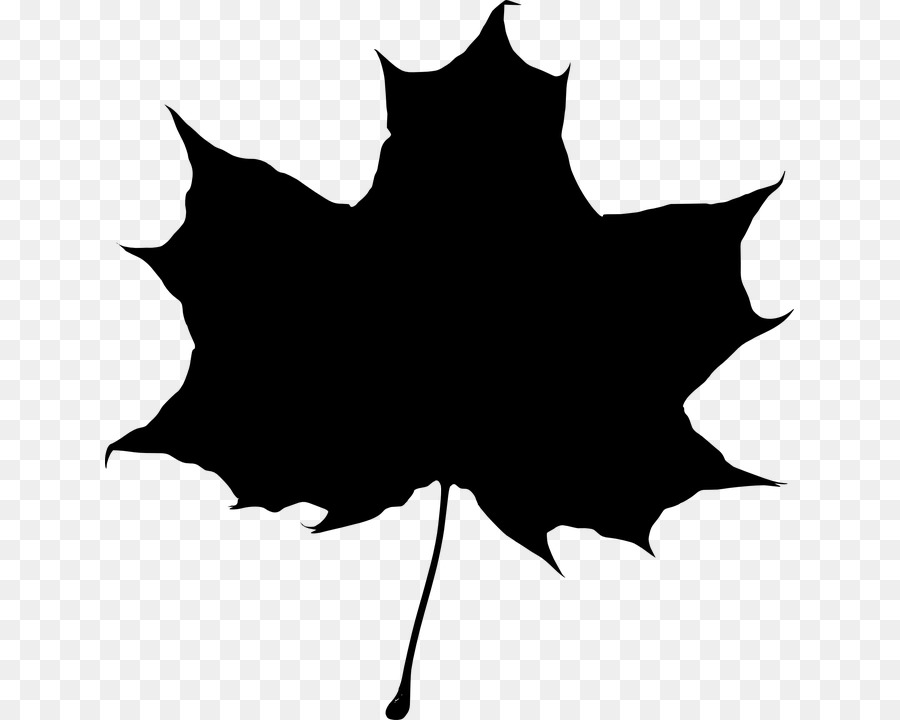 Maple leaf Silhouette Clip art - autumnblackandwhite png download - 689*720 - Free Transparent Maple Leaf png Download.