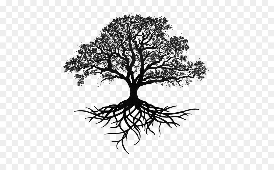 Tree Oak Drawing Silhouette - Trees silhouette png download - 564*551 - Free Transparent Drawing png Download.